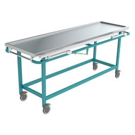 Mortuary Concealment Trolley Fixed Height | 4H841