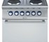 Electrolux Professional Hot Plate and Oven - Electric Range (371016)